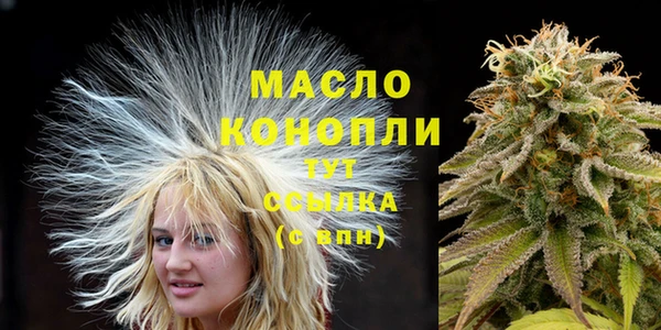 сатива Арсеньев