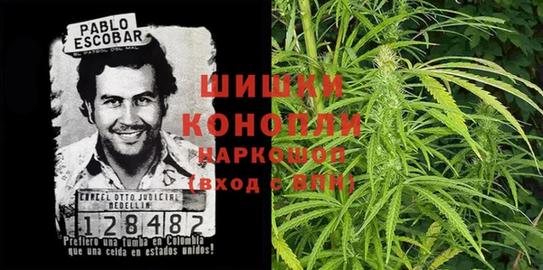 сатива Арсеньев