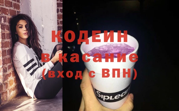 сатива Арсеньев