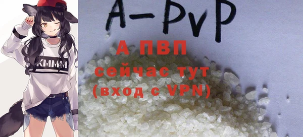 сатива Арсеньев